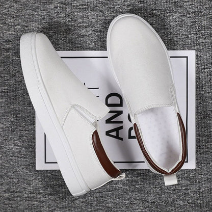 Loafers Men Spring New Casual Canvas Shoes Men Light Slip-on Sneakers Comfortable High-quality Flat Shoes Men Footwear ������������������